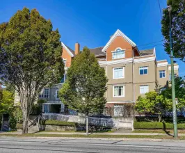 8th Avenue Terraces