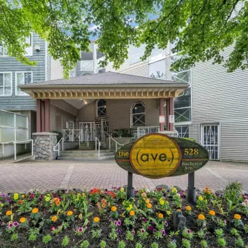 The Ave