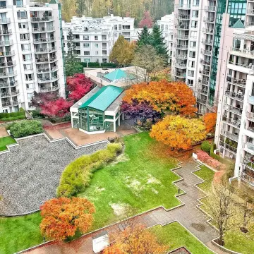 The Mackenzie