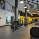 Canary Commons