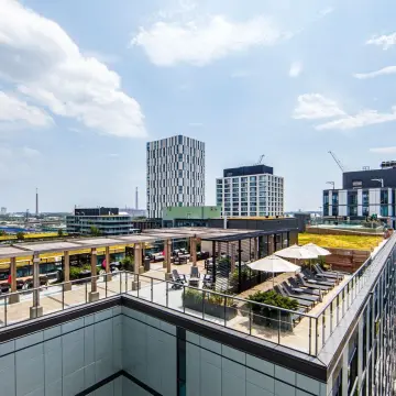 Canary House