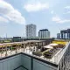 Canary House