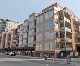Ellis Court