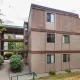 Mountain Woods - 9143