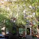 156 Hicks Street