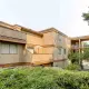 Mountain Woods - 9147