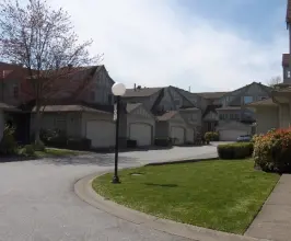 Chestnut Village