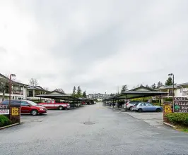 Willow Park Estates