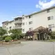 Rosewood