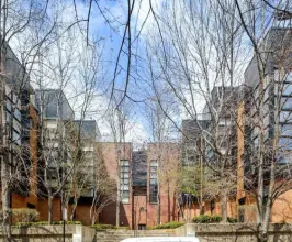 Willow Court