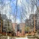 Willow Court