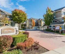 Arbour Village