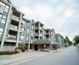 Cranberry Lane