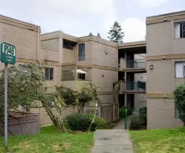 Mountain Woods - 9145