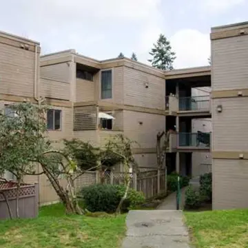 Mountain Woods - 9145