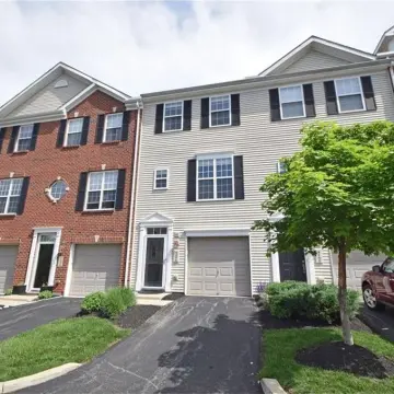 Cinnamon Ridge