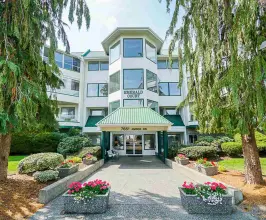 Emerald Court