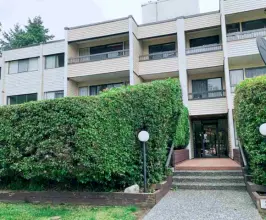 Blue Mountain Manor