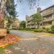Augusta Grove - 1750