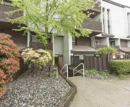Fraser Mews 385