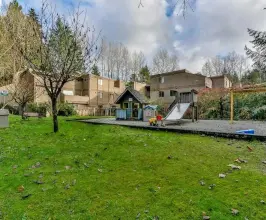 Mountain Woods - 9153