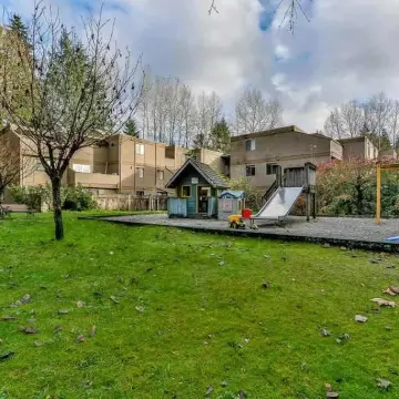 Mountain Woods - 9153
