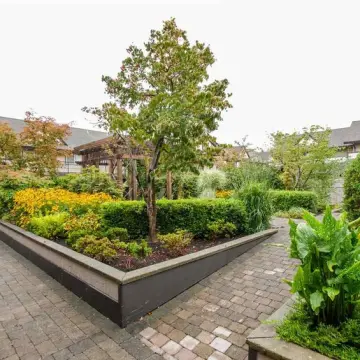 Ladner Pointe