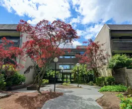 Blue Mountain Terrace