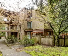 Mountain Woods - 9154