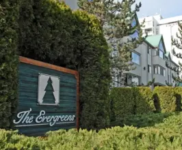 Evergreens