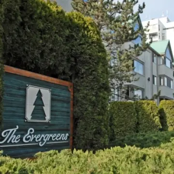 Evergreens